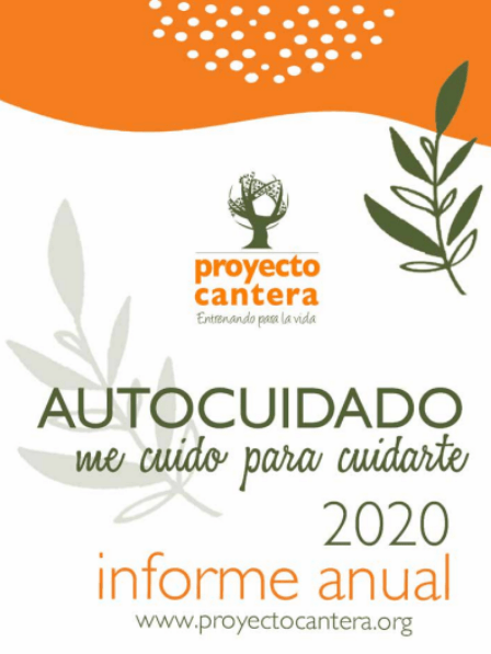 Informe Anual 2020